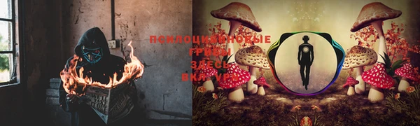 MESCALINE Дмитров